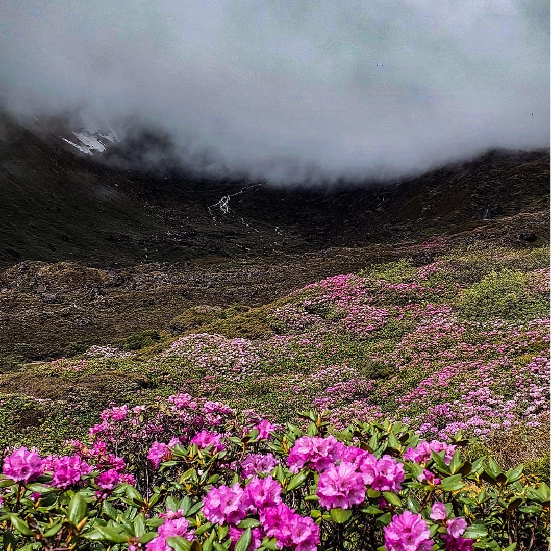 Neutral Minimalist Testimonials Instagram (18)