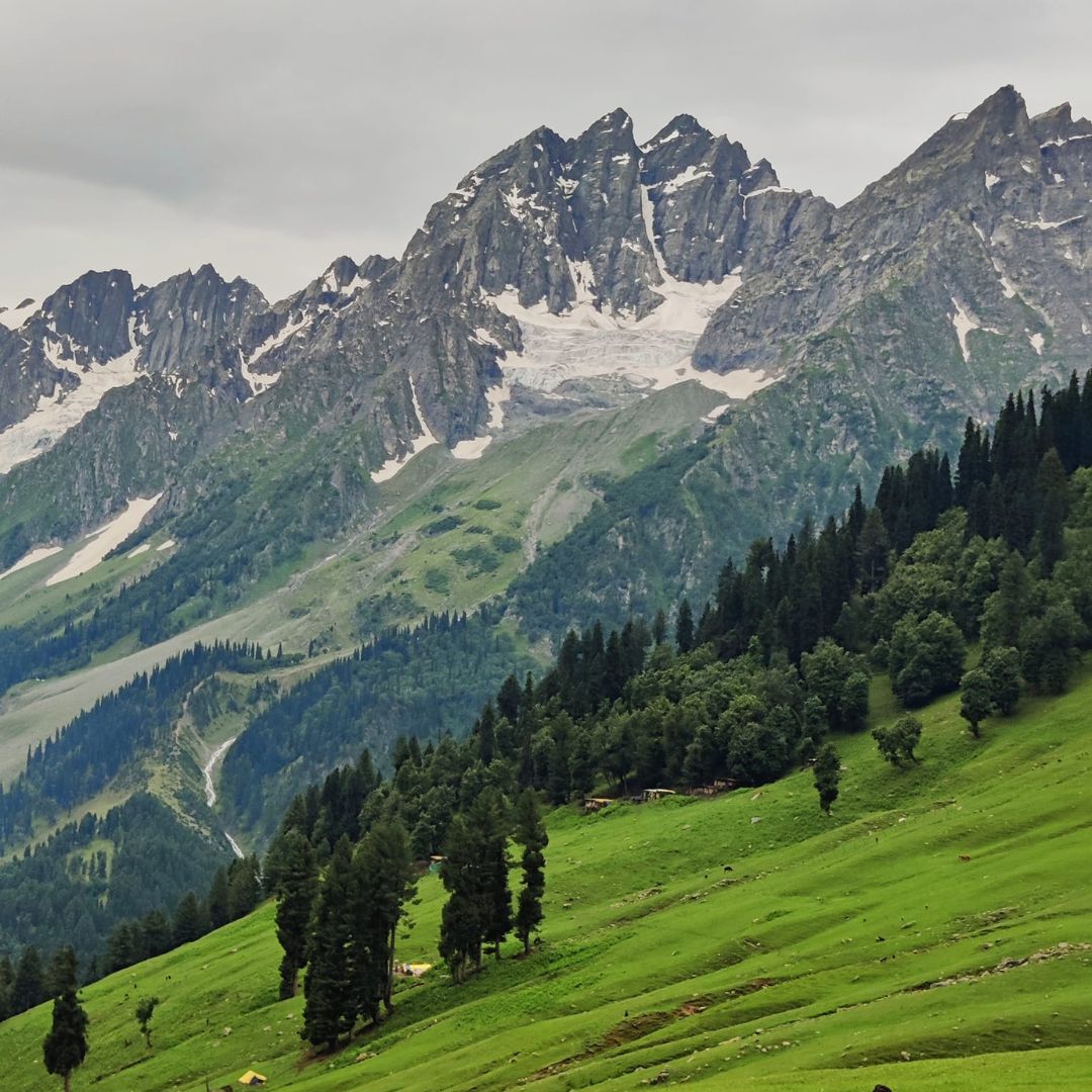 Neutral Minimalist Testimonials Instagram - 2025-02-10T130720.412