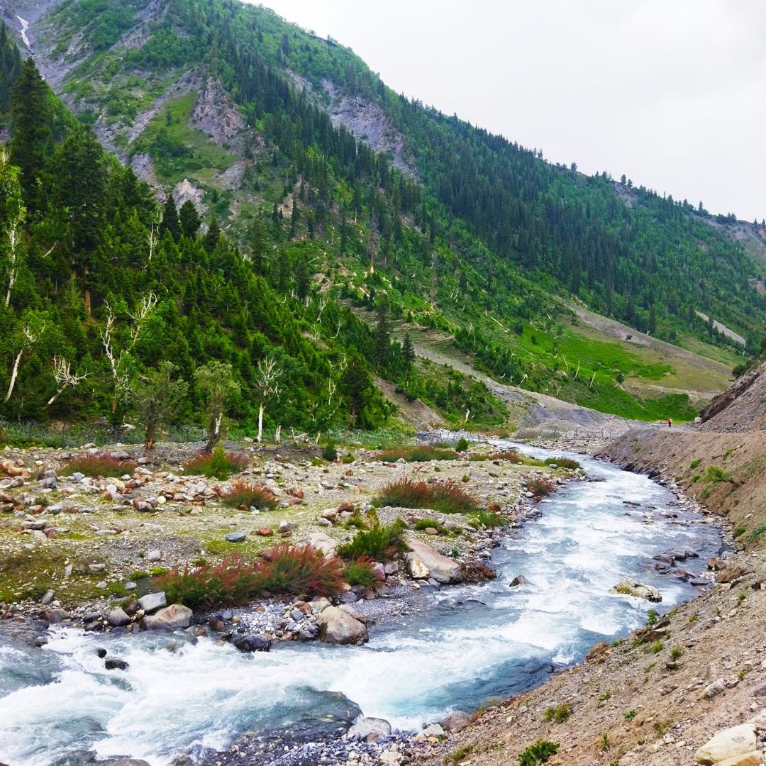 Neutral Minimalist Testimonials Instagram - 2025-02-10T134003.986