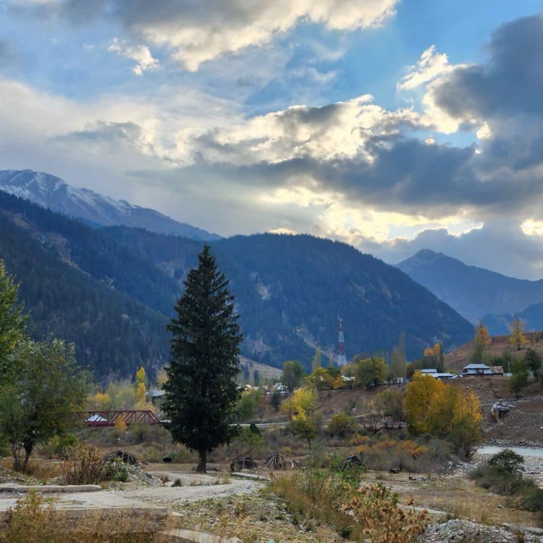 Neutral Minimalist Testimonials Instagram - 2025-02-10T134043.504