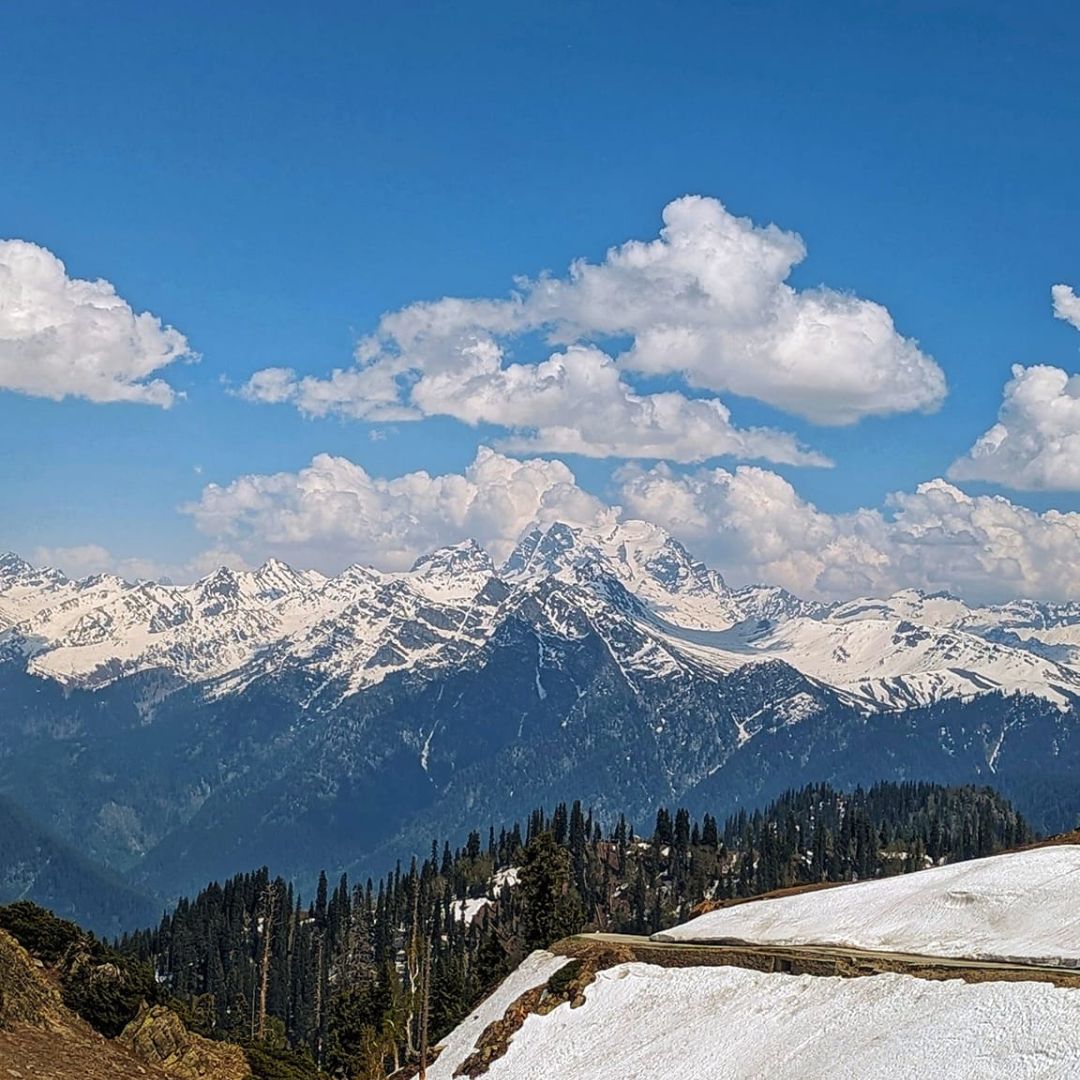 Neutral Minimalist Testimonials Instagram - 2025-02-10T134350.435