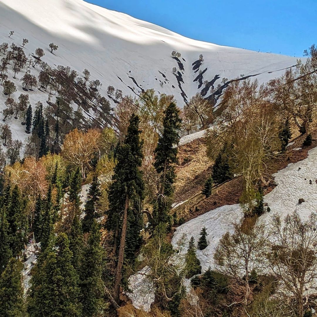 Neutral Minimalist Testimonials Instagram - 2025-02-10T134404.020