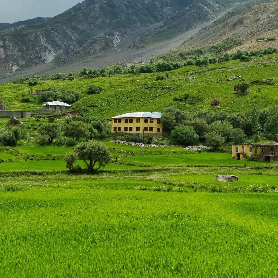 Suru VAlley