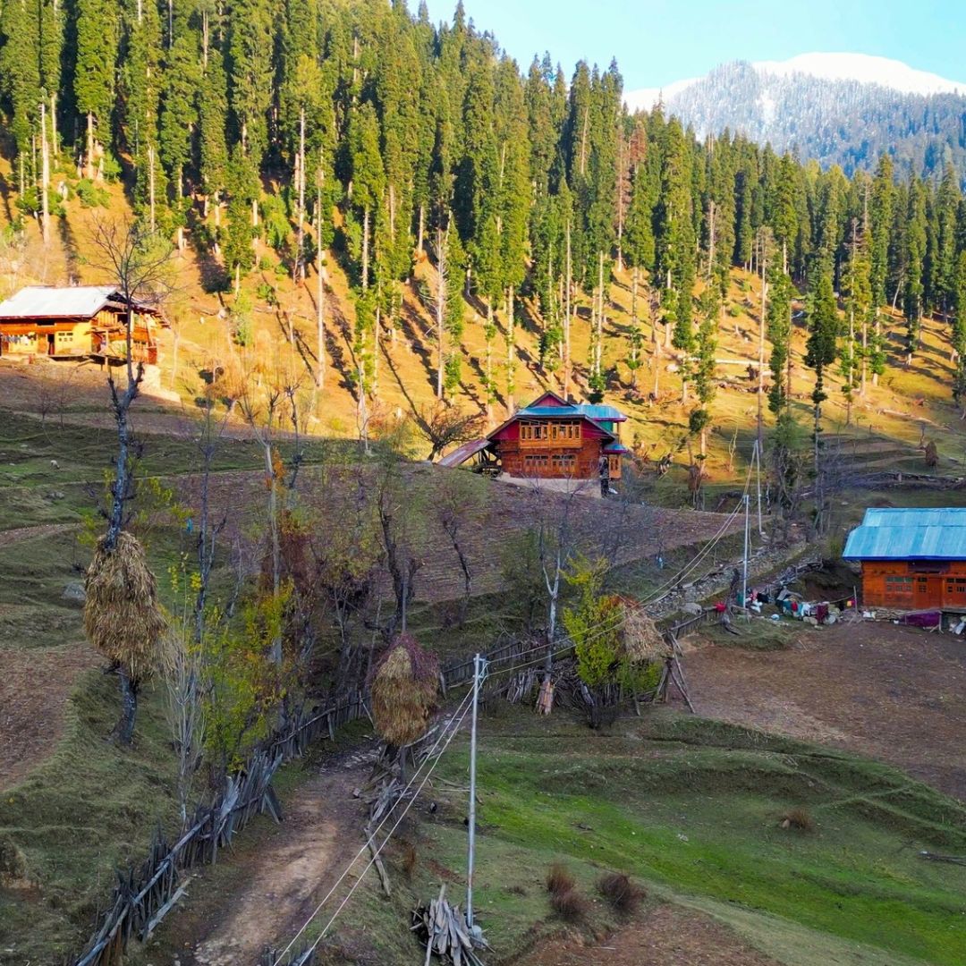 Neutral Minimalist Testimonials Instagram - 2025-02-12T124728.524