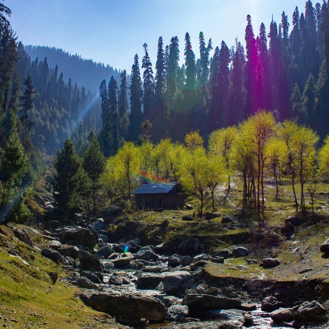 Neutral Minimalist Testimonials Instagram - 2025-02-12T124744.506