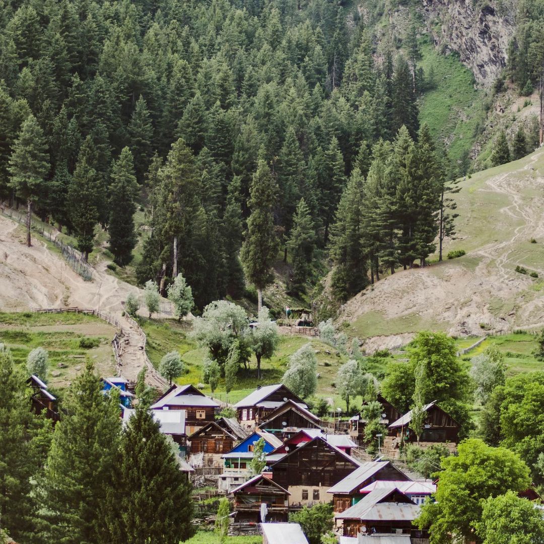 Neutral Minimalist Testimonials Instagram - 2025-02-12T124758.013