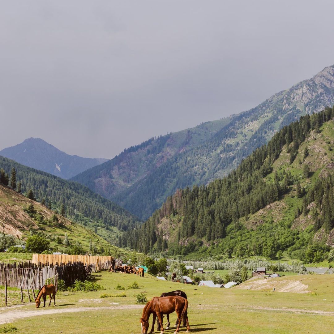 Neutral Minimalist Testimonials Instagram - 2025-02-12T124811.534