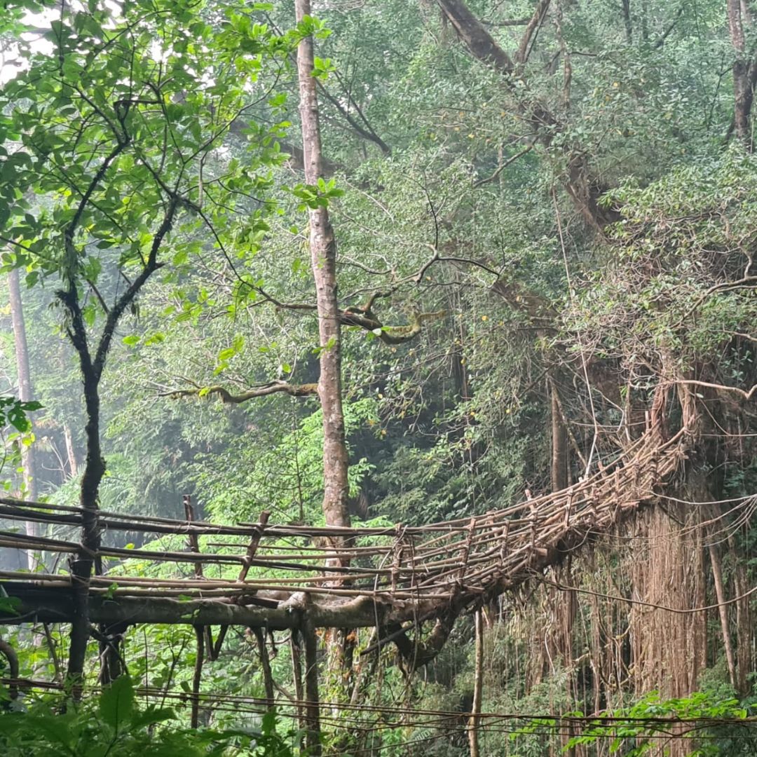 Neutral Minimalist Testimonials Instagram (39)