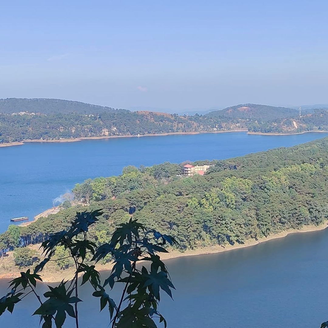 Neutral Minimalist Testimonials Instagram (43)