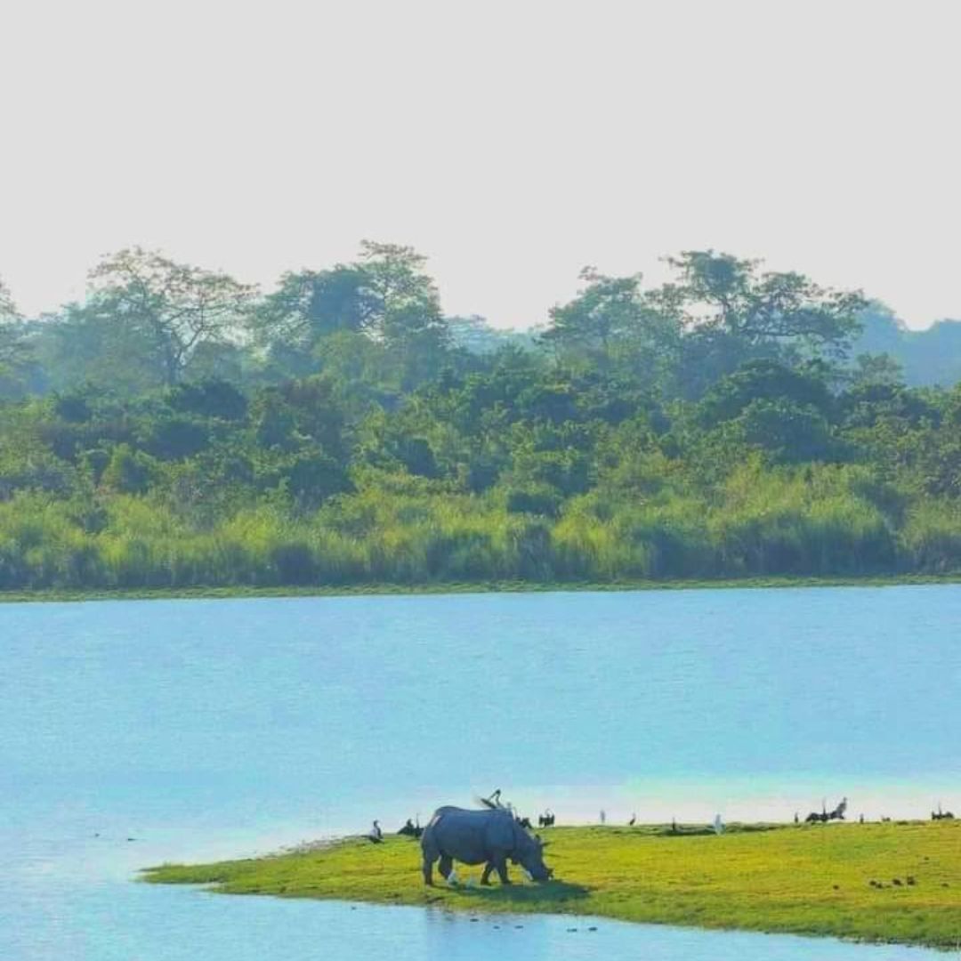 Neutral Minimalist Testimonials Instagram (49)