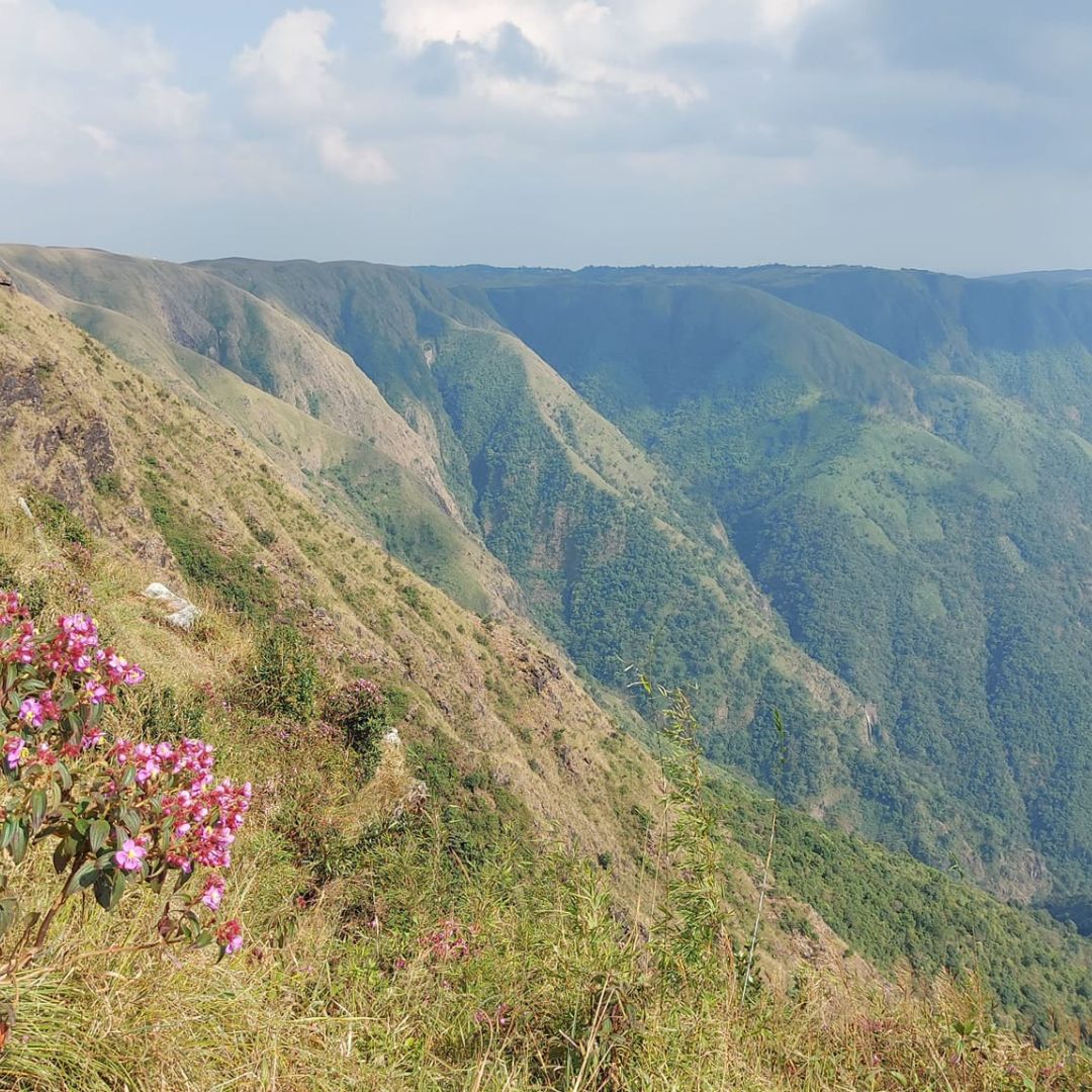 Neutral Minimalist Testimonials Instagram (50)