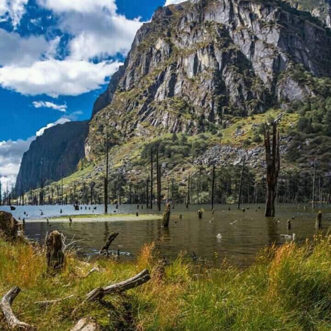 Neutral Minimalist Testimonials Instagram (51)