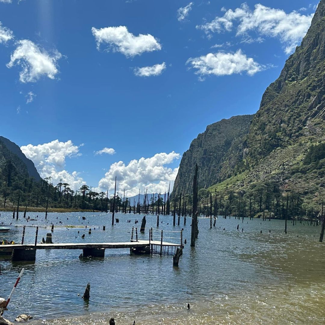 Neutral Minimalist Testimonials Instagram (52)