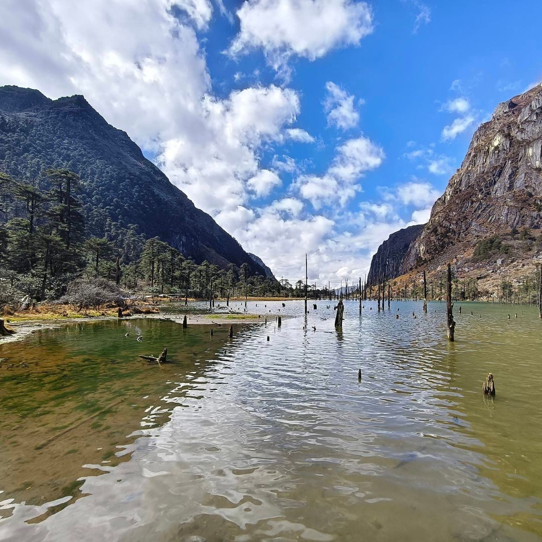 Neutral Minimalist Testimonials Instagram (53)