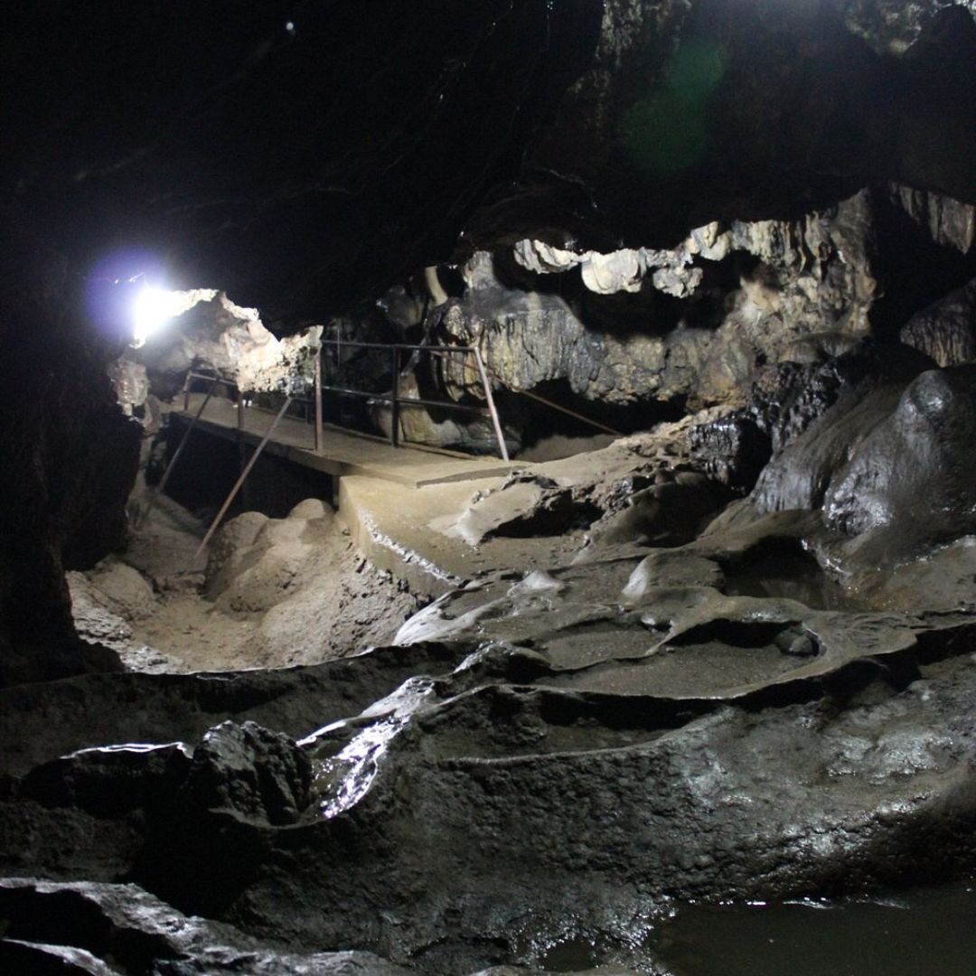 Neutral Minimalist Testimonials Instagram (55)