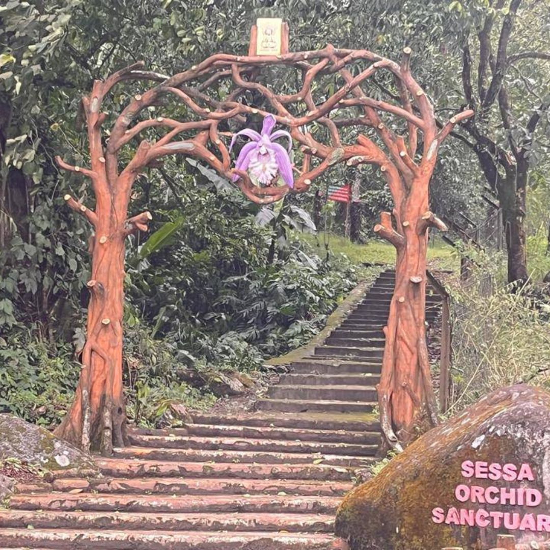 Neutral Minimalist Testimonials Instagram (59)