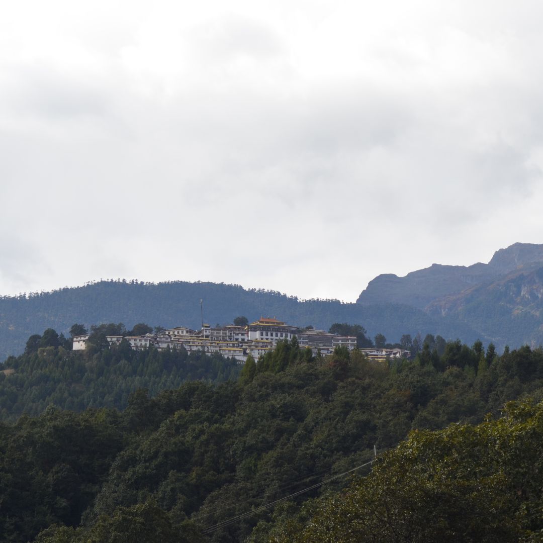 Neutral Minimalist Testimonials Instagram (63)