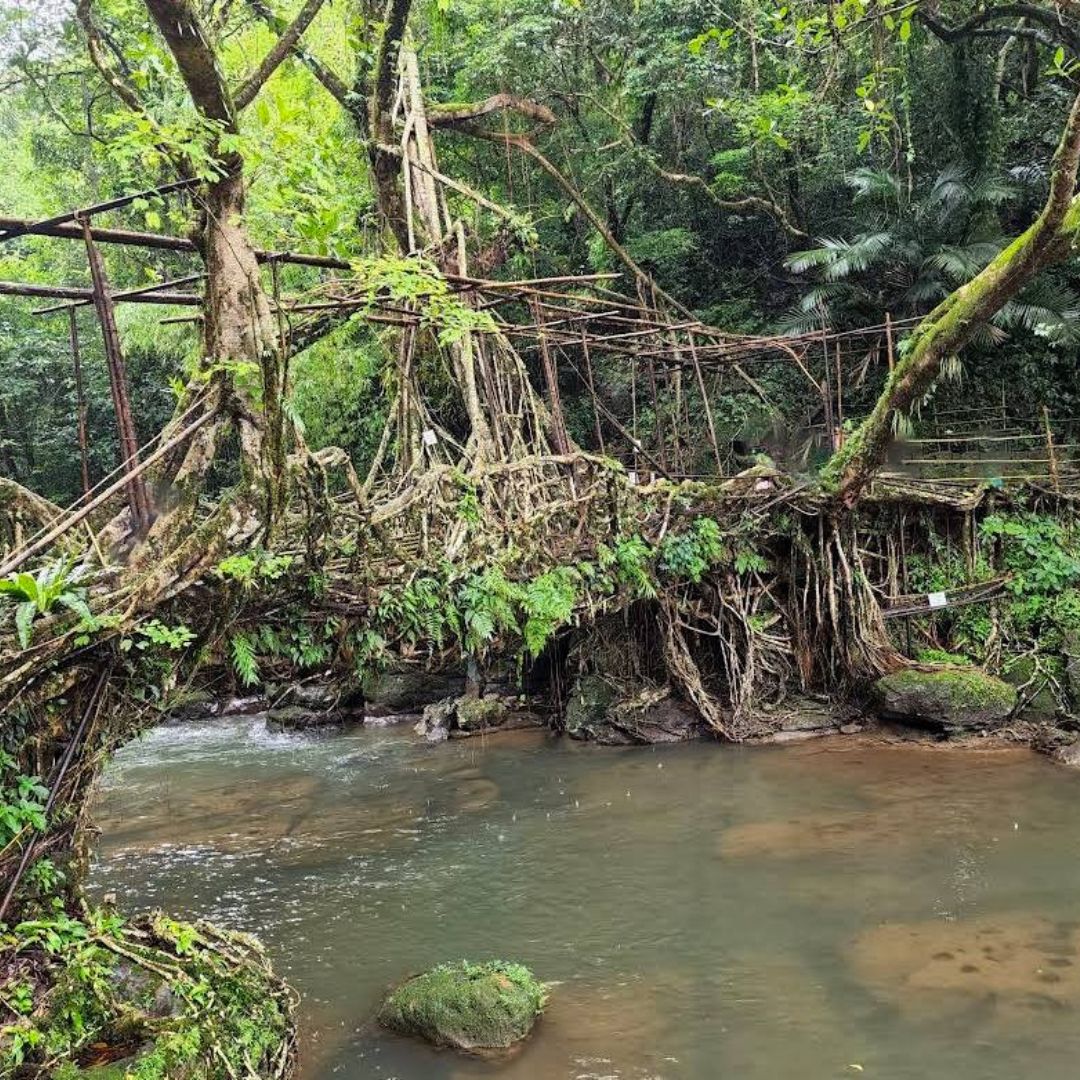 Neutral Minimalist Testimonials Instagram (64)