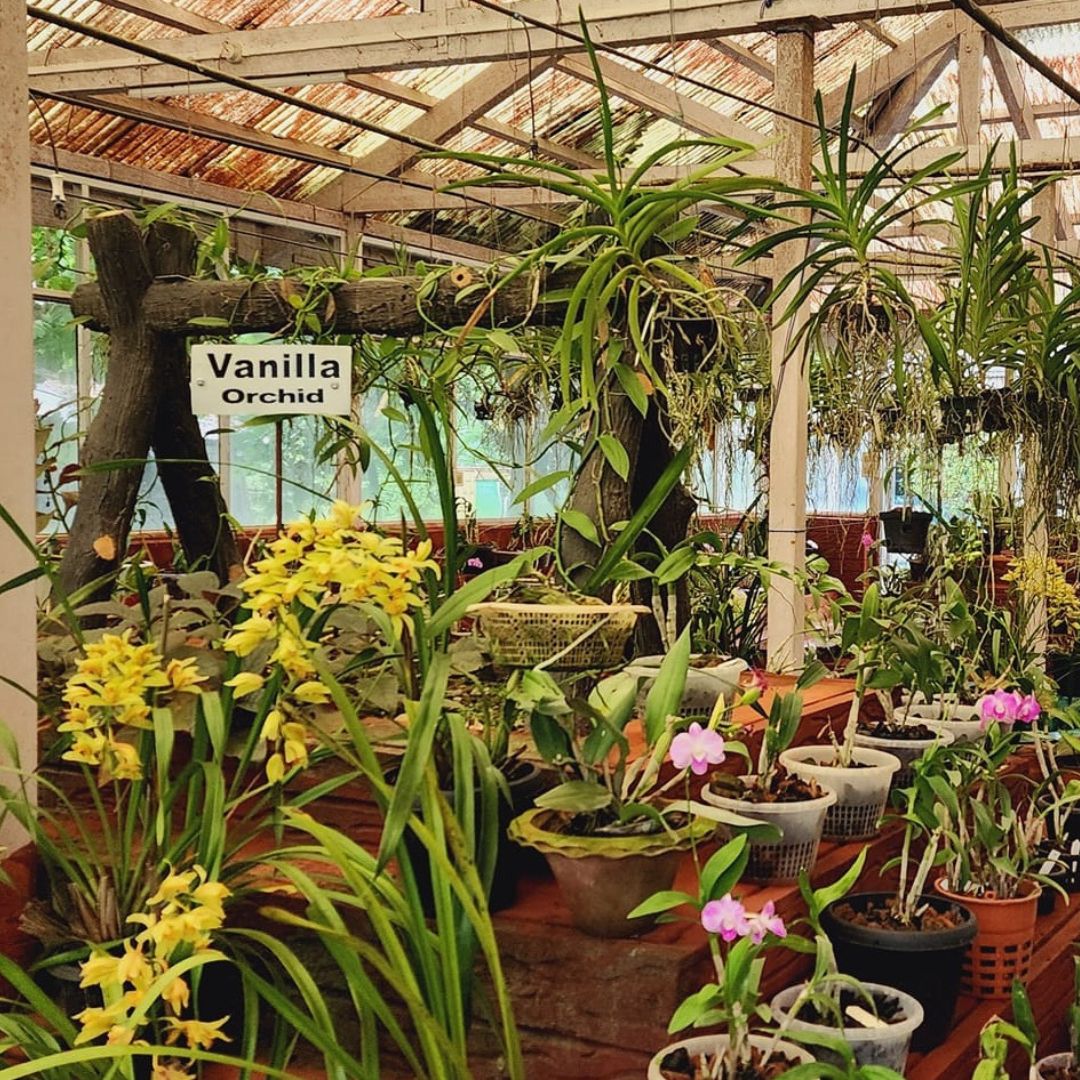 Neutral Minimalist Testimonials Instagram (66)