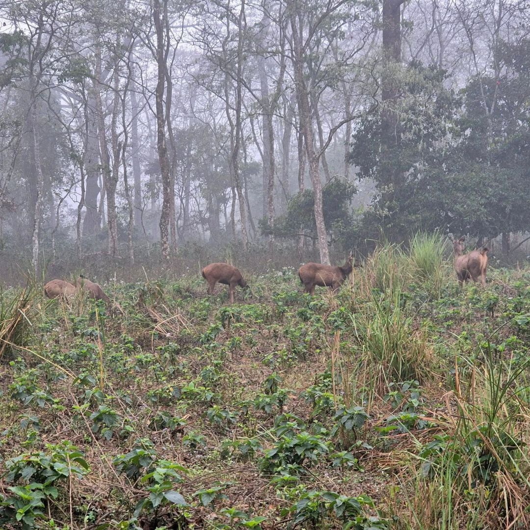 Neutral Minimalist Testimonials Instagram (67)