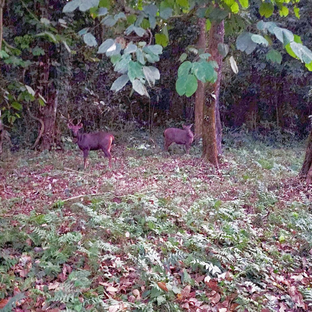 Neutral Minimalist Testimonials Instagram (69)