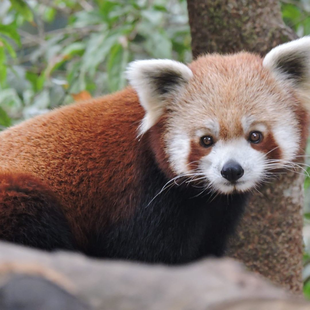 Neutral Minimalist Testimonials Instagram (7)