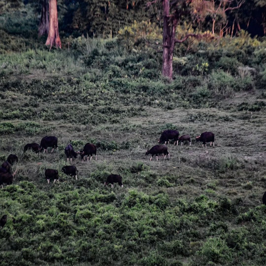 Neutral Minimalist Testimonials Instagram (70)