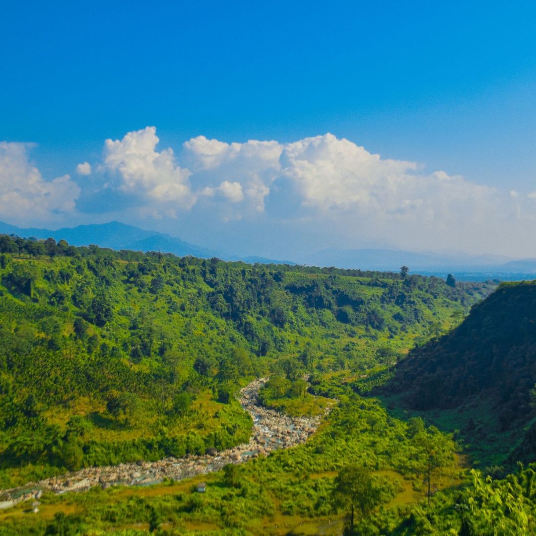 Neutral Minimalist Testimonials Instagram (71)