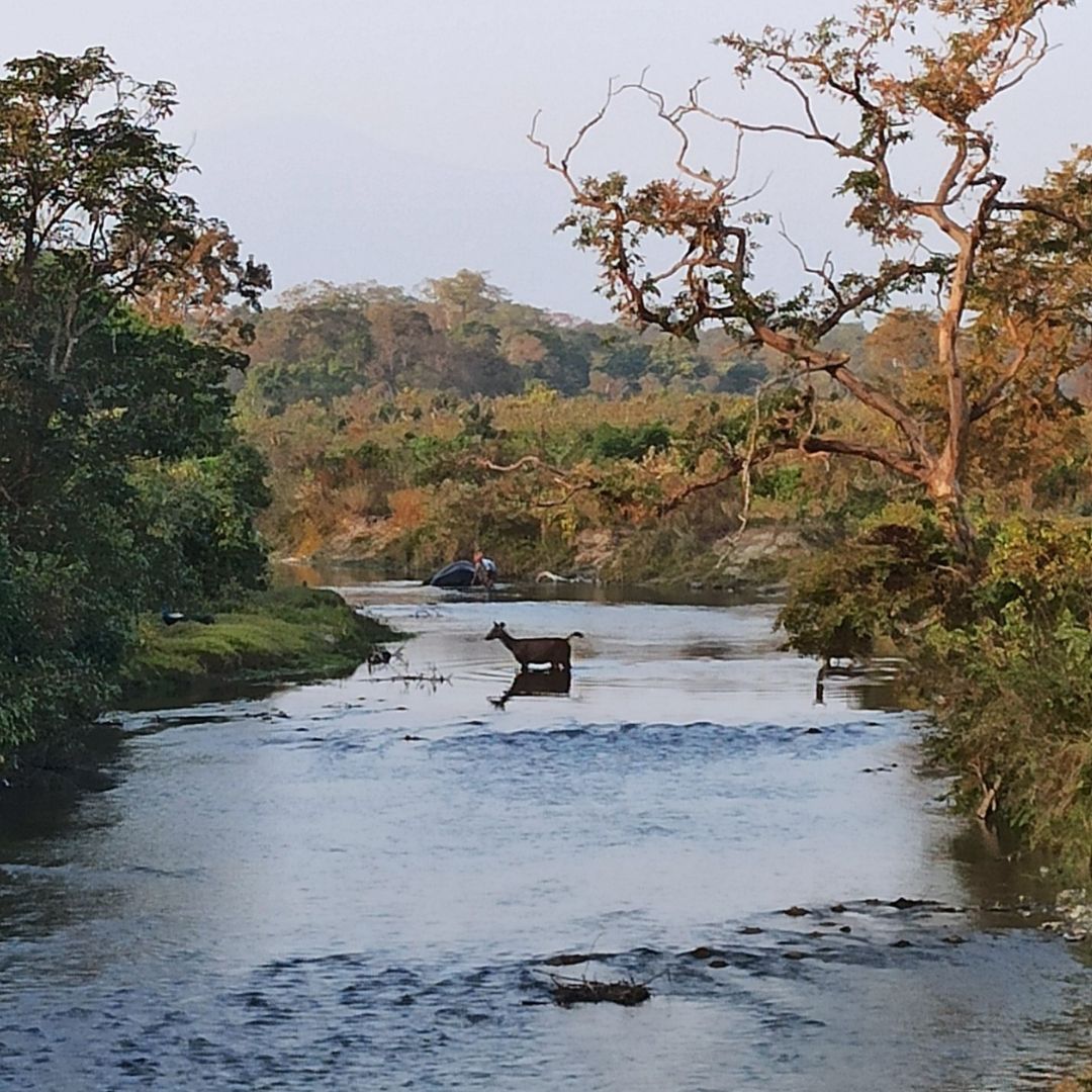 Neutral Minimalist Testimonials Instagram (75)