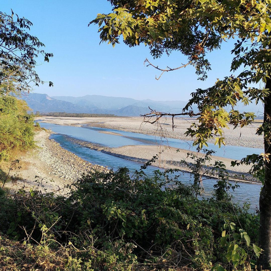 Neutral Minimalist Testimonials Instagram (82)