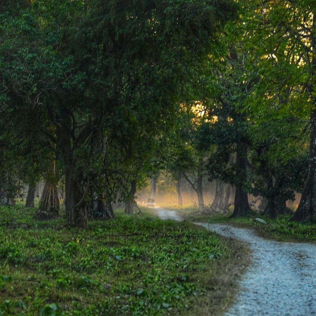 Neutral Minimalist Testimonials Instagram (84)